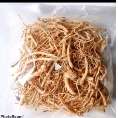 

Terbaik Akar kiji bling sgar 500 gr akar herbal