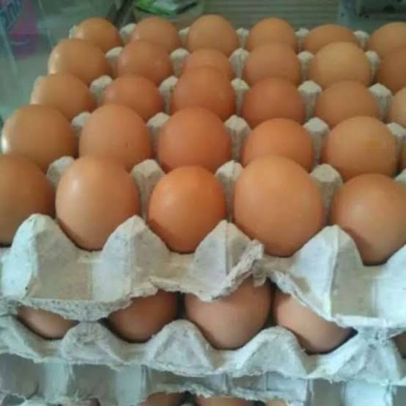 

Telur Ayam Negeri 30 pcs