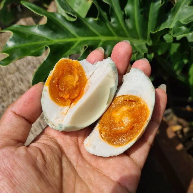 

COD Telur asin masir dan gurih isi 10 butir