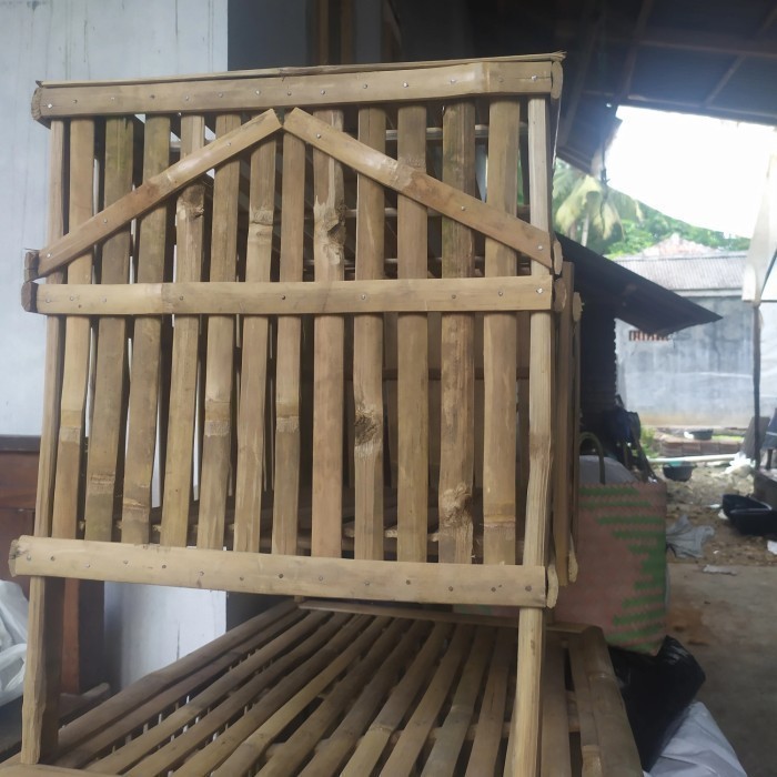 kandang ayam doc ayam bangkok murah