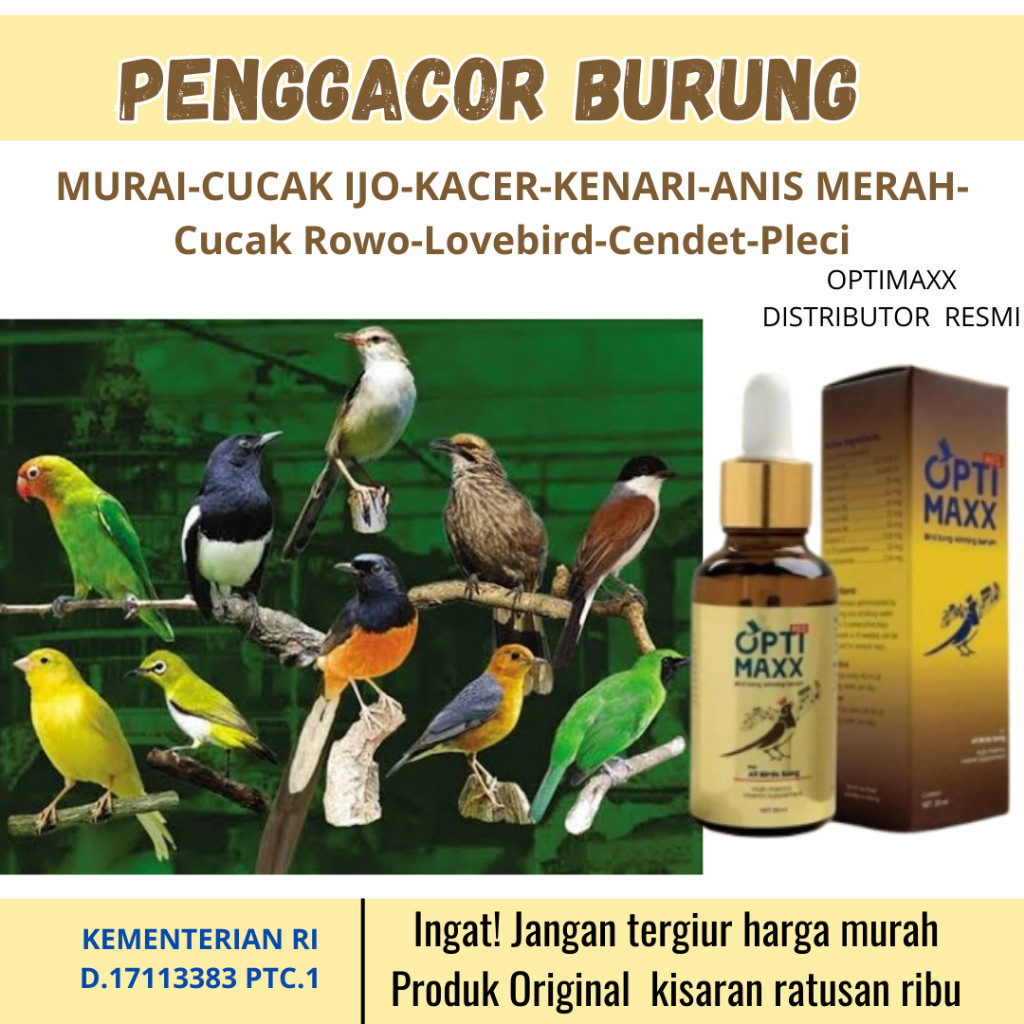 Distributor_Murah optimaxx vitamin burung original-optimaxx bird song-vitamin burung murai batu-vita