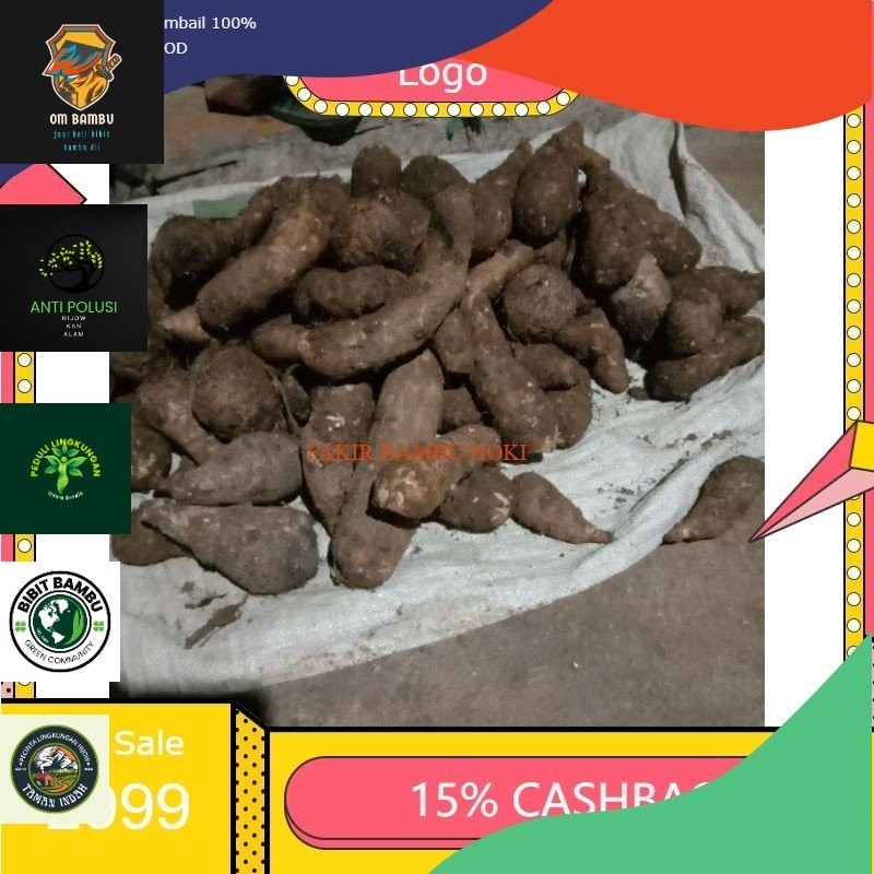 

TERMURAH terbaik termurah umbi talas kimpul . talas gajah lokal1 kg PROMO