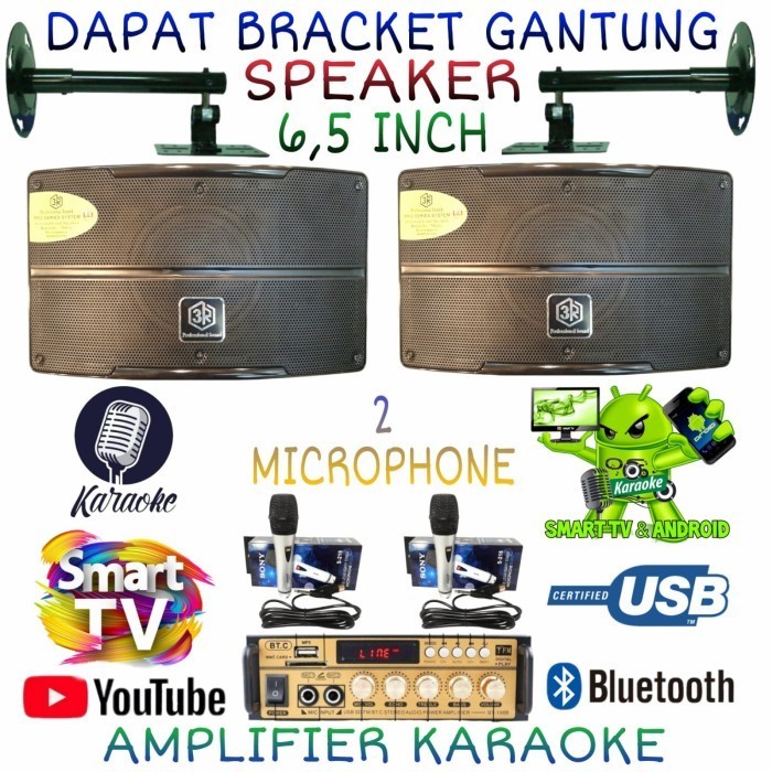 Karaoke Set Smart Tv Di Youtube Speaker 3R 6,5 Inch Ampli 2 Microphone - PAKET MIC KABEL