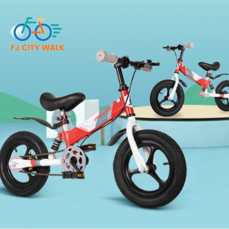 FJ Children's Balance Bike 2-in-1 Bicycle 2-6 Years Old Can Be Equipped With A Foot Skate For Baby F