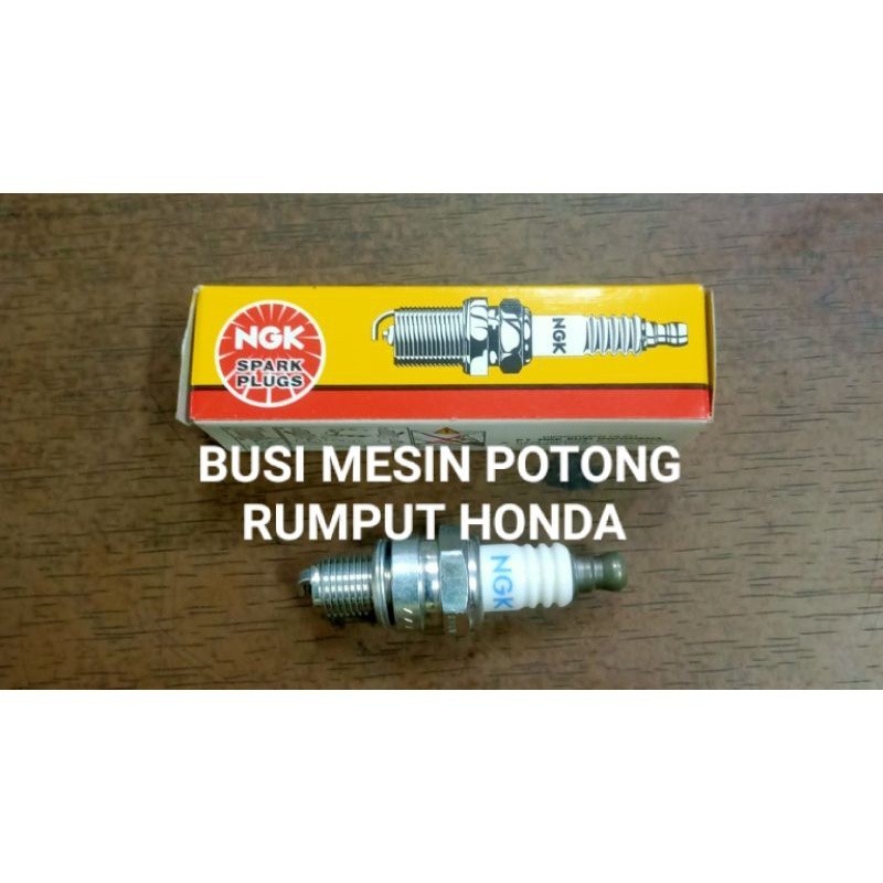 BUSI POTONG RUMPUT HONDA NGK