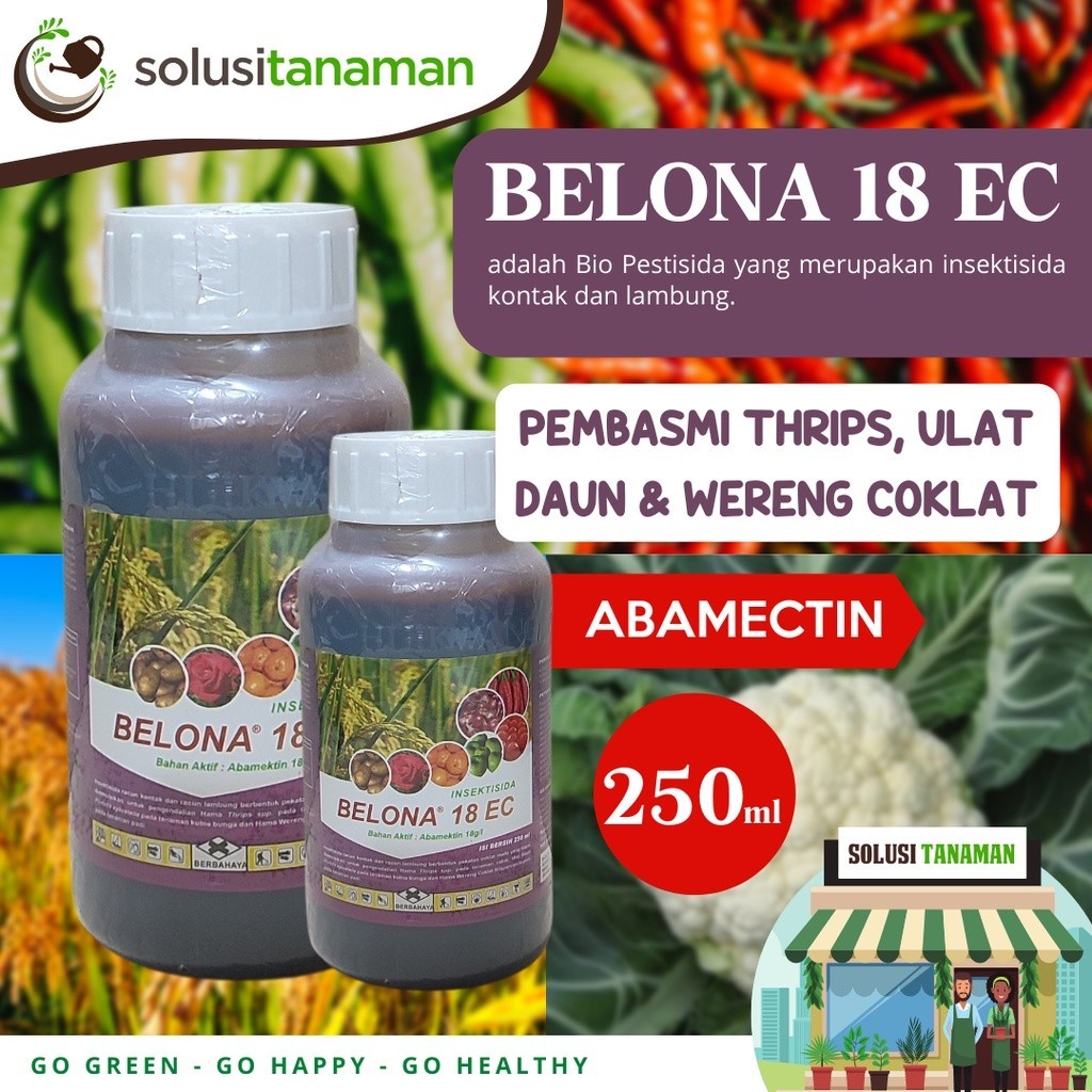insektisida Obat Hama Belona 250ml Pembasmi Hama Thrips, Kutu Putih, Kutu Daun, Penggerek Batang, Pe