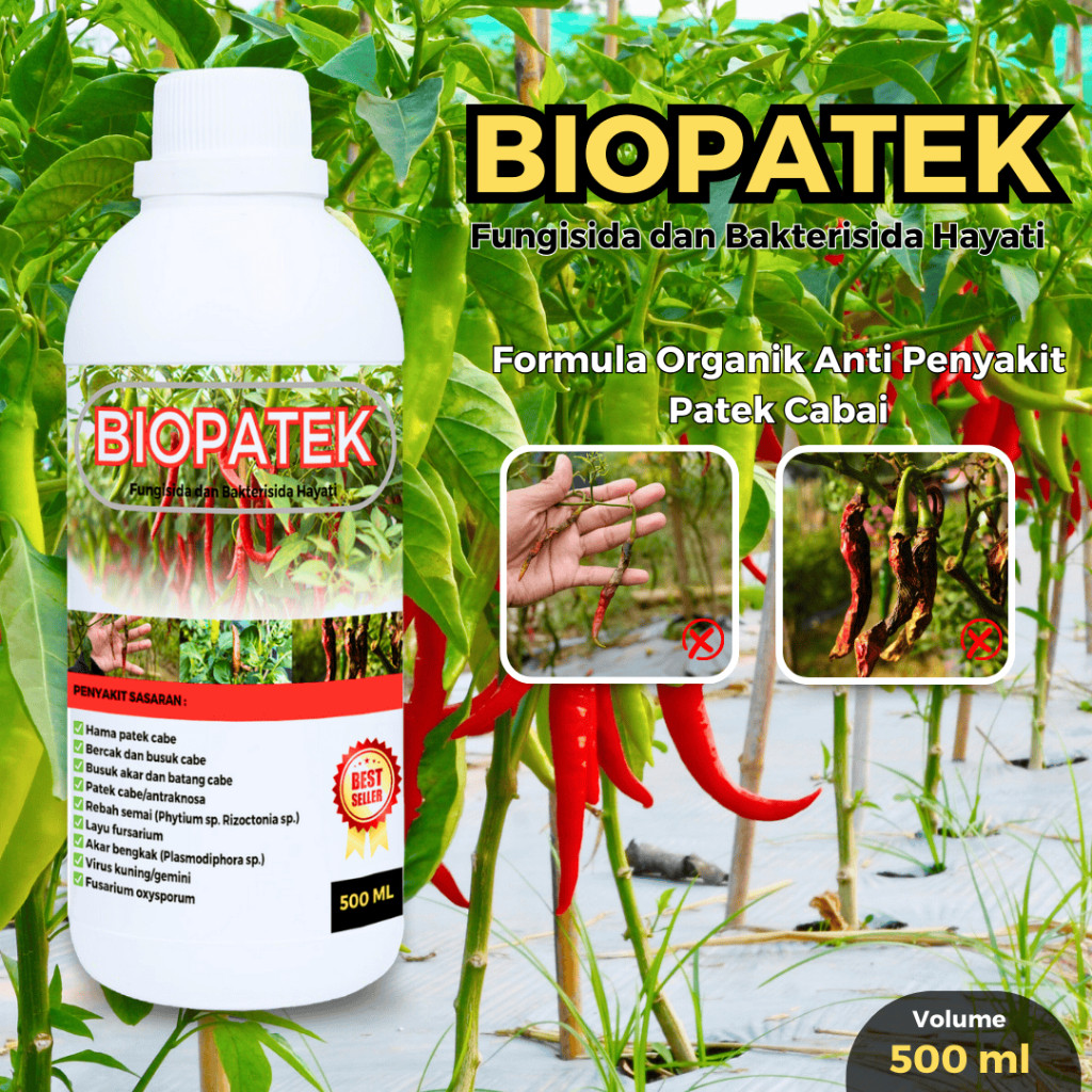BIOPATEK 500 ml fungisida hayati atasi  penyakit patek tanaman cabai