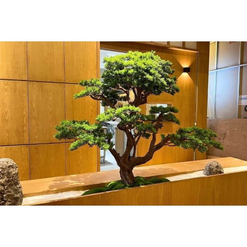 pohon bonsai cemara udang cemara pinus artificial tinggi 90cm