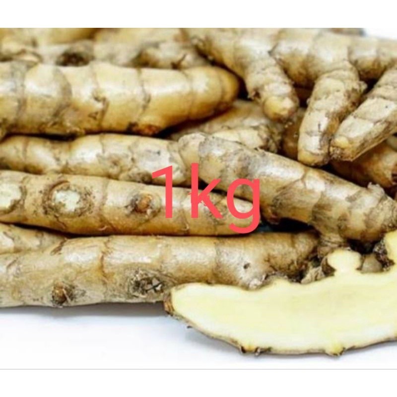 

Kunyit putih segar 1kg (temu putih/curcuma zedoaria) ready READY