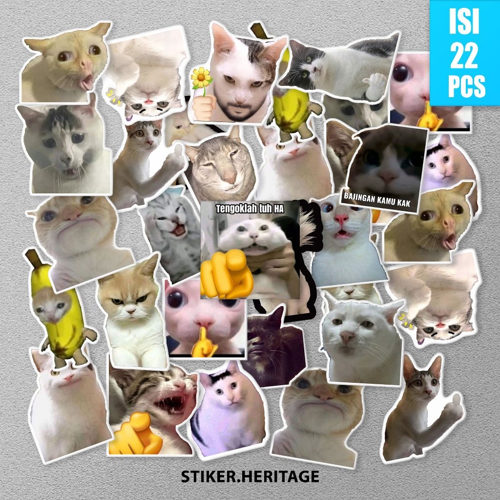 Sticker MEME KUCING untuk laptop case tumbler stiker laptop STIKER MOTOR