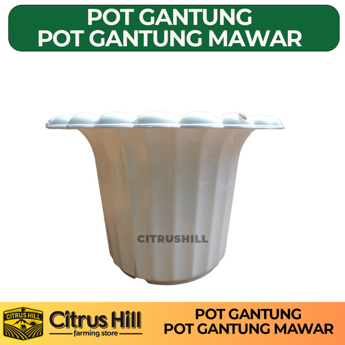 Pot Tanaman dan Bunga Plastik Gantung Mawar Putih