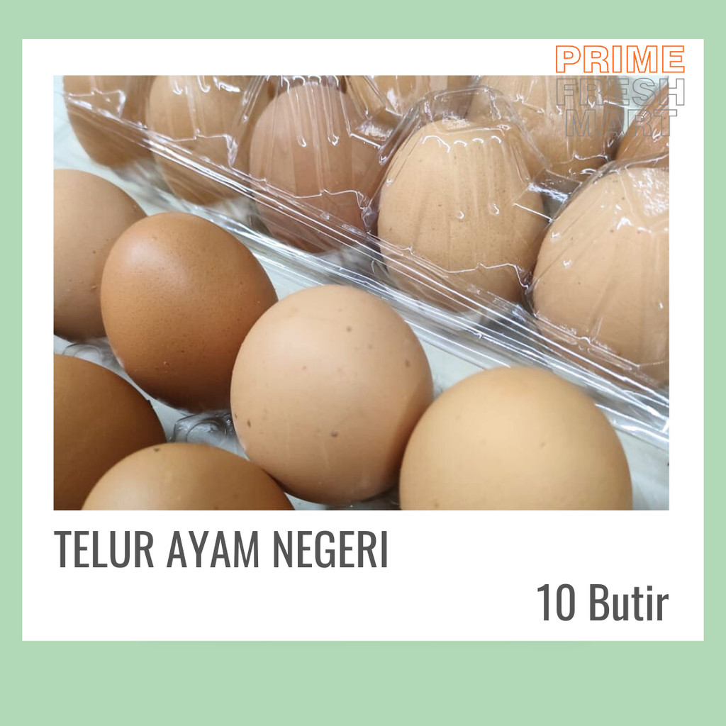 

Telur Ayam Negeri Fresh 10 Butir | Telur Ayam Eropa