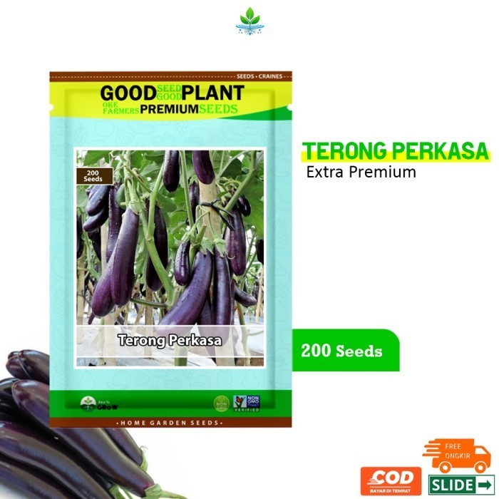 GOODSEED - 200 Biji Benih Bibit Terong Ungu Panjang Perkasa F1