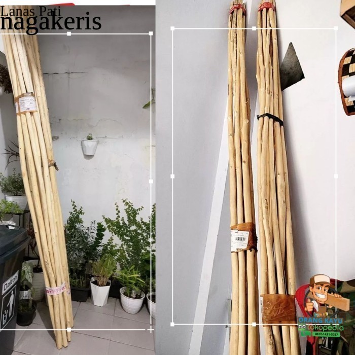 

Teak Wood Breanch Dahan Ranting Kayu Jati Macrame Craft panjang 250 CM FNX111 XD6