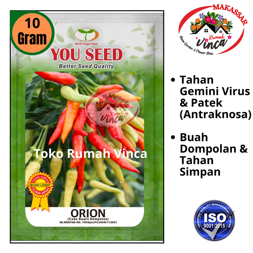 Benih Cabe Rawit Setan ORION F1 isi 10g Cabe rawit Dompolan You Seed