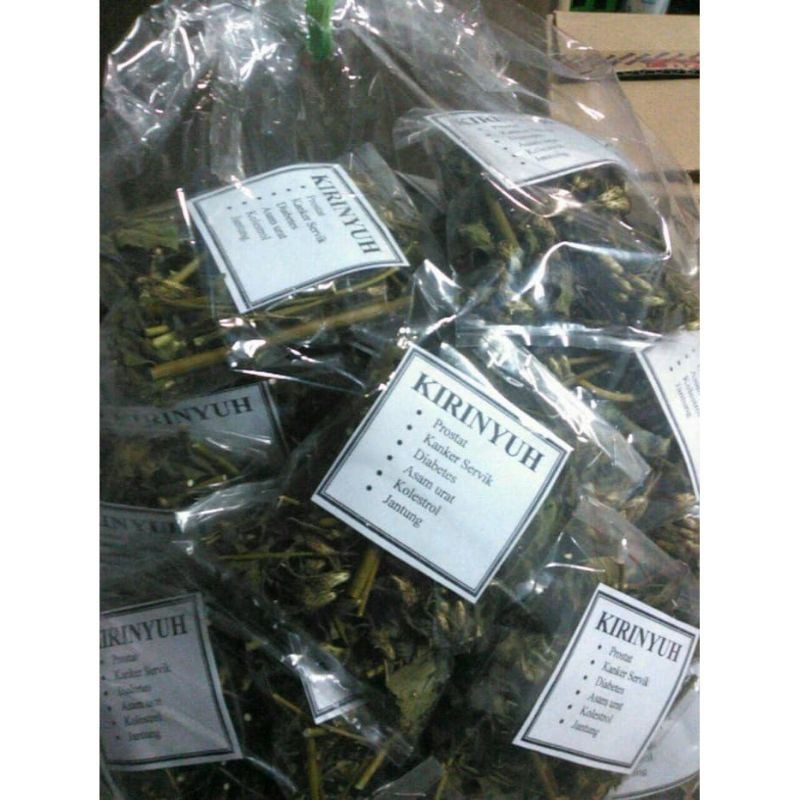 

DAUN KIRINYUH KERING SIAP PAKAI 1 PLASTIK