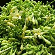 

Sayur Bunga Pepaya 250gr - BEST Fresh Food