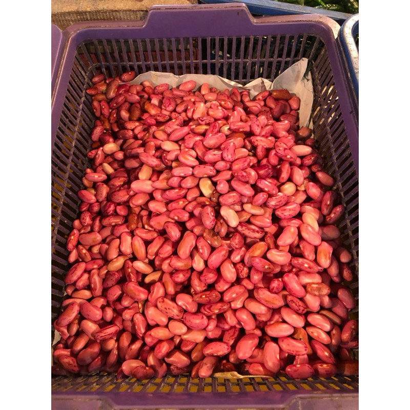 

KACANG MERAH 500G