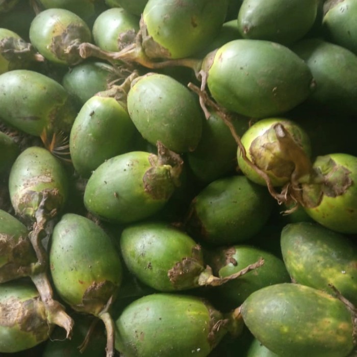 

buah pinang muda(Jambe)segar 500 gram