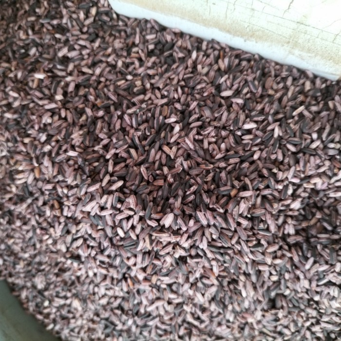 

Promo Termurah - sukron_86 beras ketan hitam sosoh super 1kg