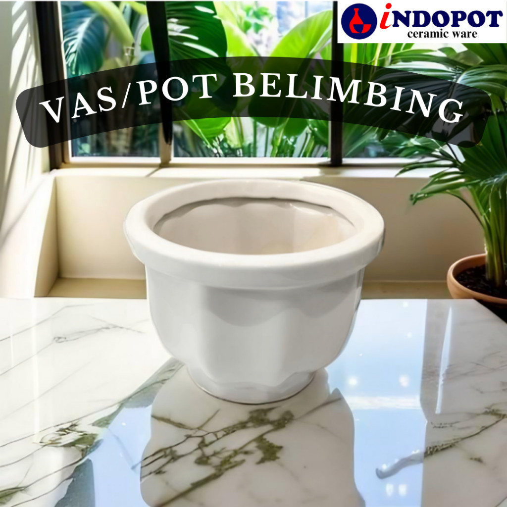 Vas Pot Bunga Keramik Model Belimbing untuk tanaman Hias / Hidup / anggrek / bonsai / sukulen / arti