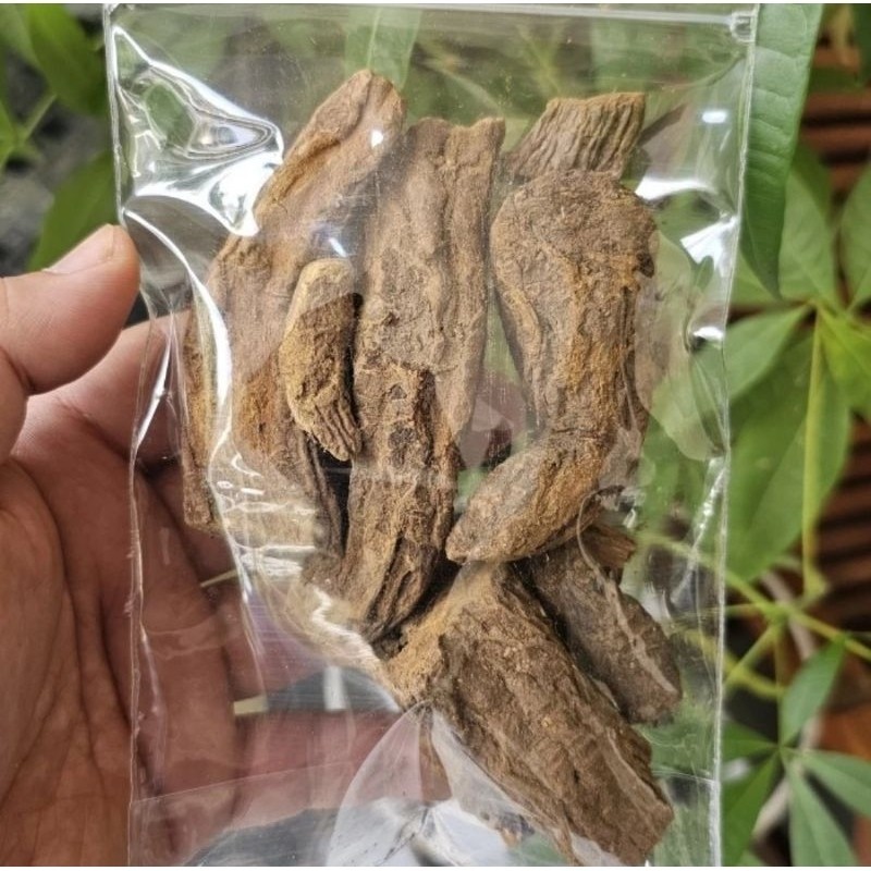 

Klembak / Kelembak Kering 100 gram