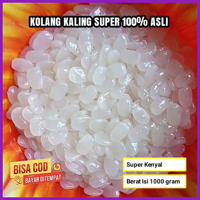 

PROMO SEGAR Biji Kolang Kaling 1 Kg Super Kenyal Asli 100% Fresh Tanpa Pengawet