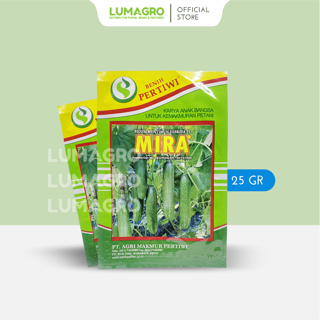 Benih Timun Mira Hibrida F1 25gr Pertiwi Bibit Mentimun Tahan Virus Kuning