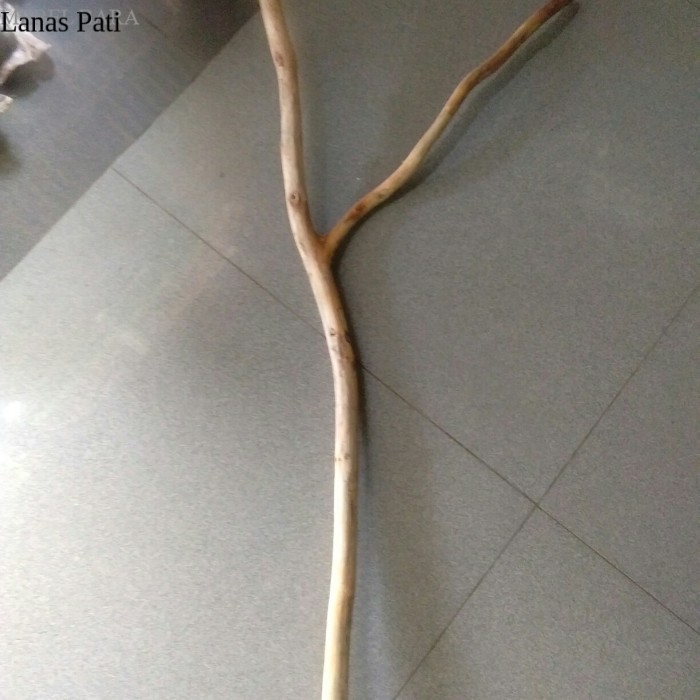 

ranting kayu jati cabang 50 cm - ranting kayu macrame murah terlaris XD7
