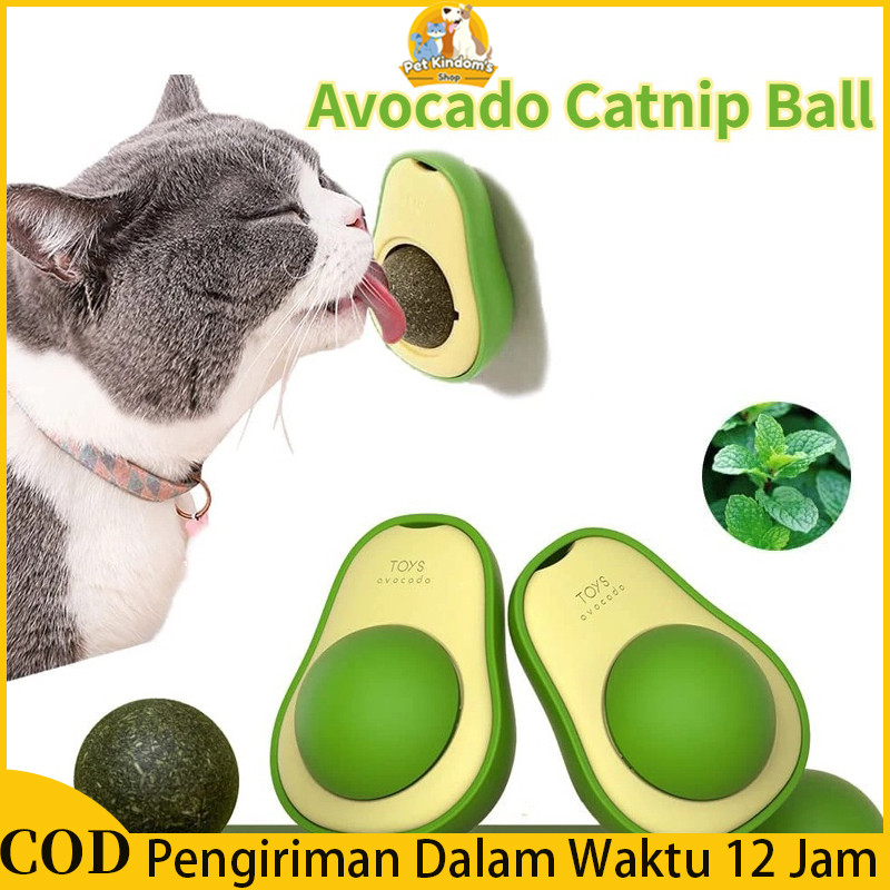 Ball Catnip Cemilan Kucing Catnip Kucing Cemilan Ball Grosir Cemilan Kucing 1 Box  Bola Kucing