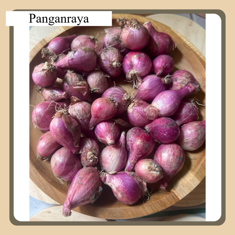

BAWANG MERAH 1 KG KUALITAS GRADE B FRESH