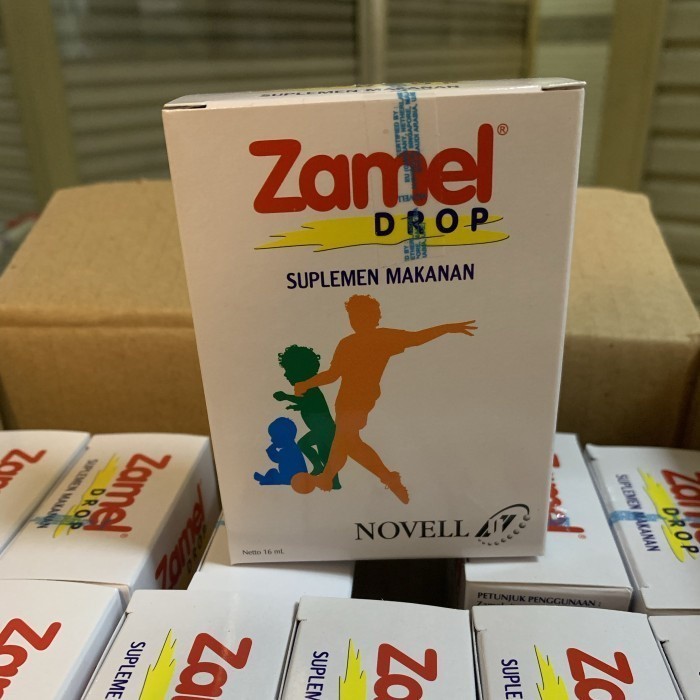 harga-zamel-terbaru-des-2024-biggo-indonesia