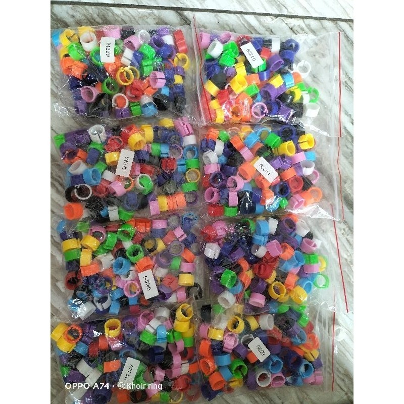 RING BURUNG MERPATI POS PIGEON IMPORT 2023murah