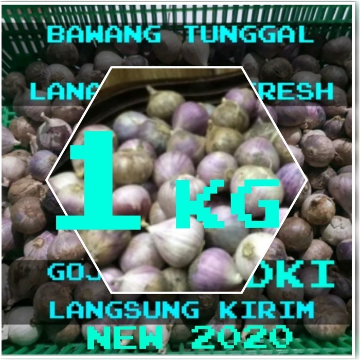

Bawang Putih Tunggal / Bawang Lanang 1000 gram - Kecil