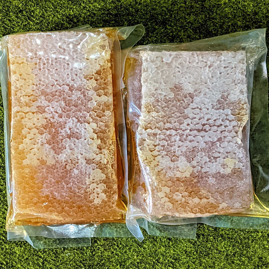 

OMH Terlaris Tunggaksemi [500gr] COD Sarang Madu Melifera