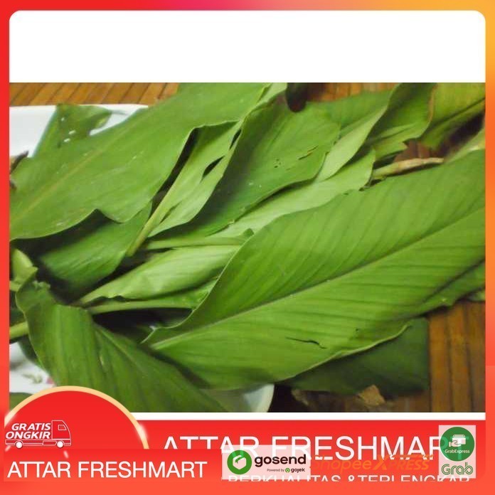 

Daun Kunyit 3 lembar