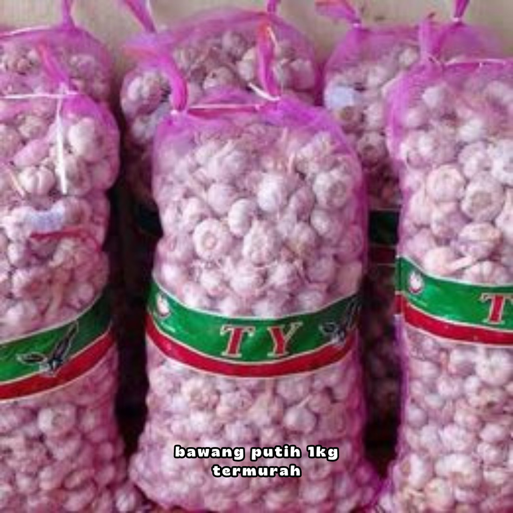 bawang putih 1kg termurah bawang kating bawang sinco bawang putih kating 1kg bersih