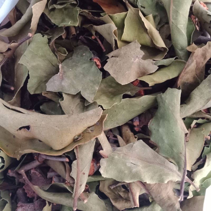 

OMH Terlaris [1kg] benalu jeruk premium