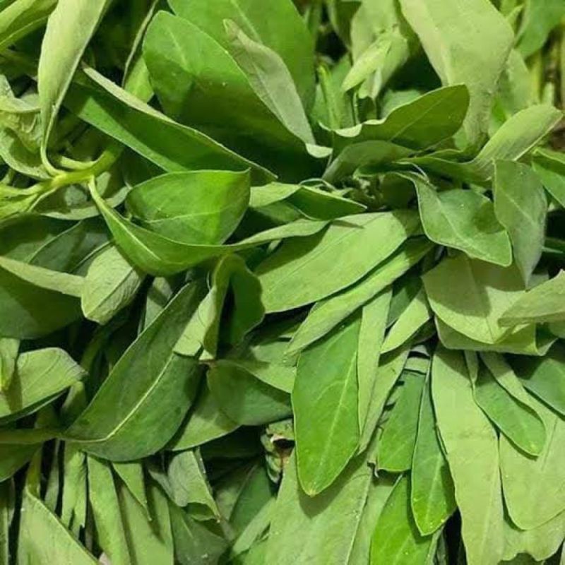 

Sayur Gonda/Gonde 1 ikat segar