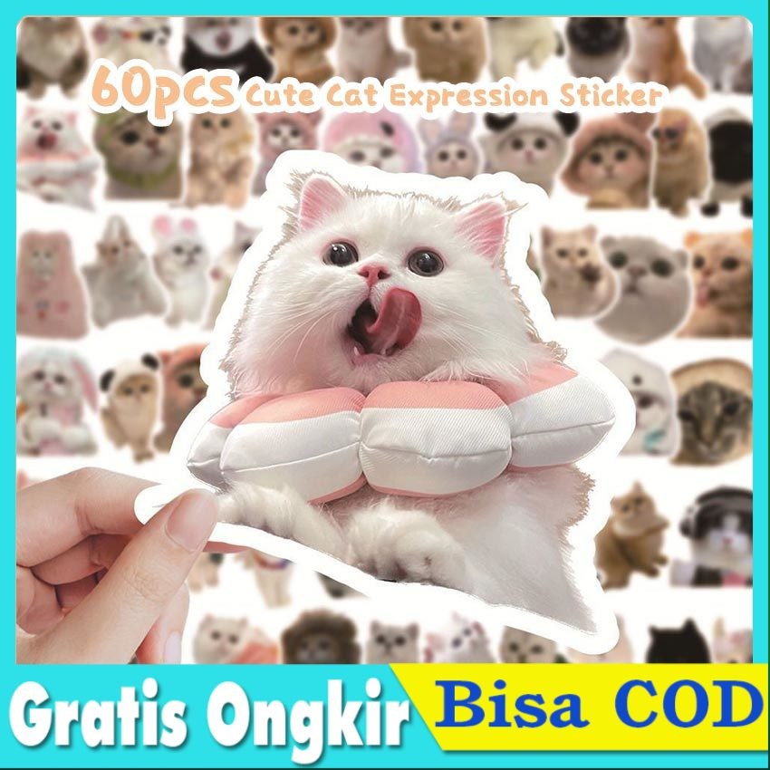 

60 Lembar Sticker Pack Meme Kucing Lucu & Aesthetic - Vinyl Waterproof Anti Air, Cocok untuk Dekorasi Laptop/Buku Journal/Koper