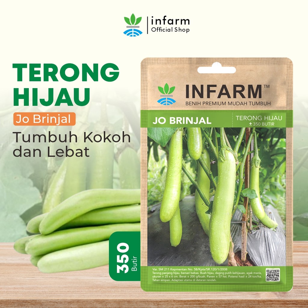 INFARM-Benih Bibit Sayur Terong Benih Jobrinjal Bibit Benih Unggul F1 Benih Bibit Sayur Sayuran Tero
