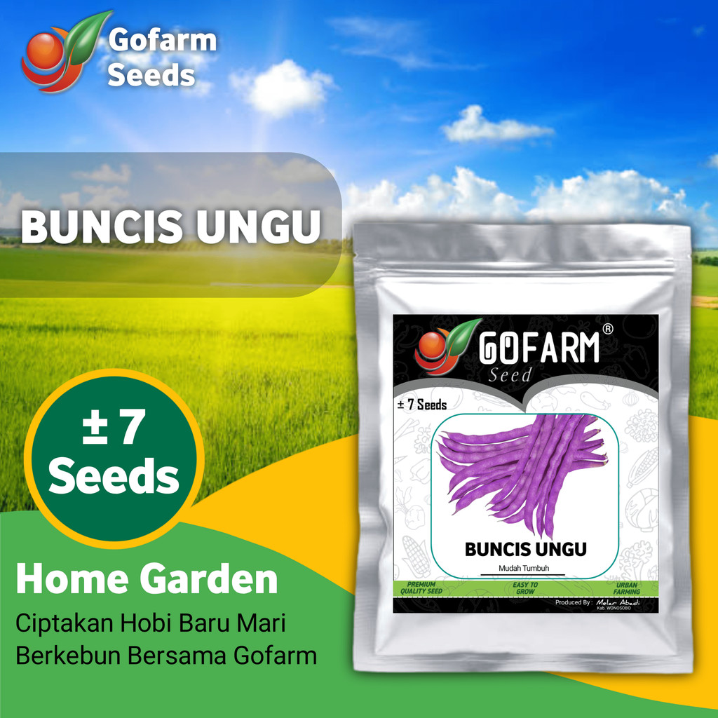 GOFARM - Benih Buncis Ungu Kemasan Original Berkualitas