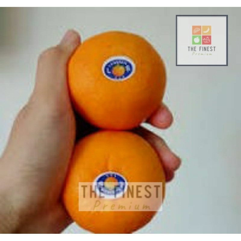 

JERUK WOKAM PREMIUM 1KG | JERUK WOGAN | JERUK WOKAM | JERUK WOKAN PREMIUM