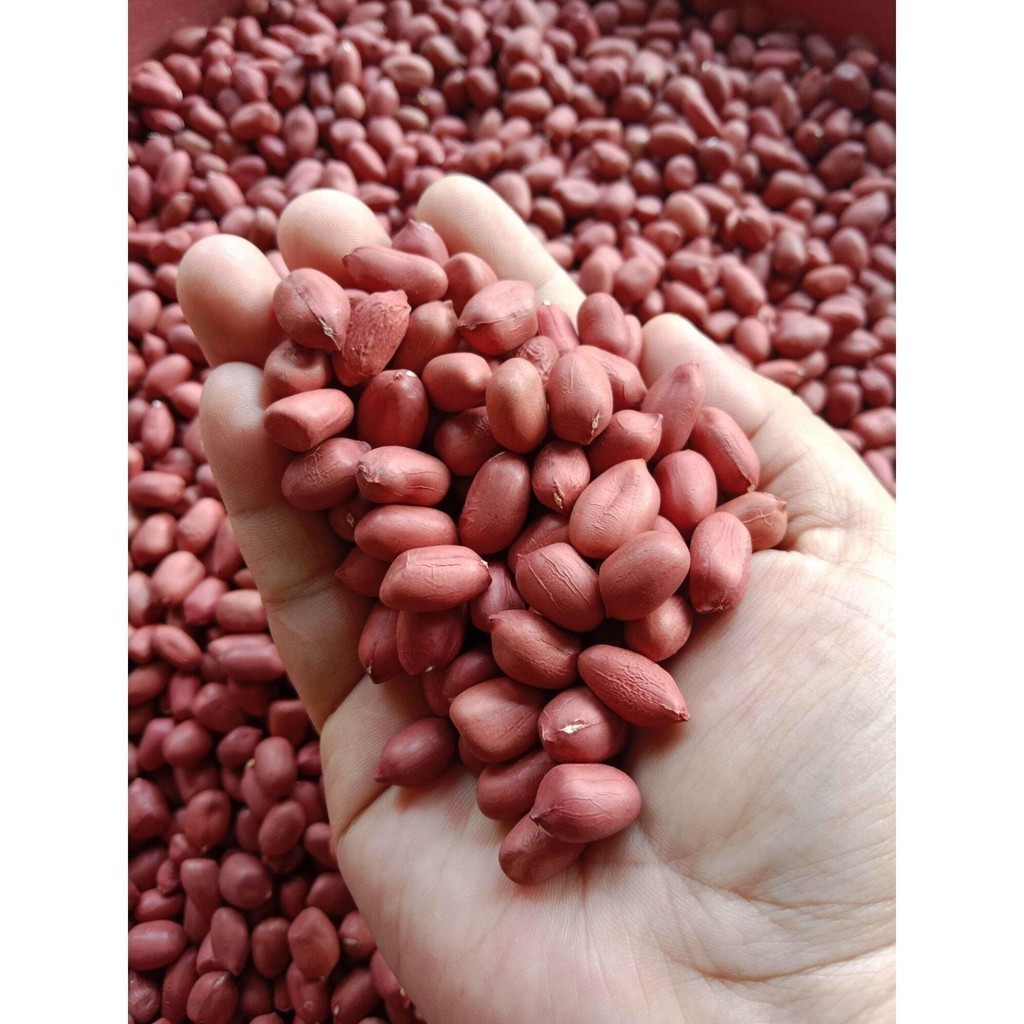 

KACANG TANAH ORGANIK 500 GRAM Organik kualitas bagus bisa COD