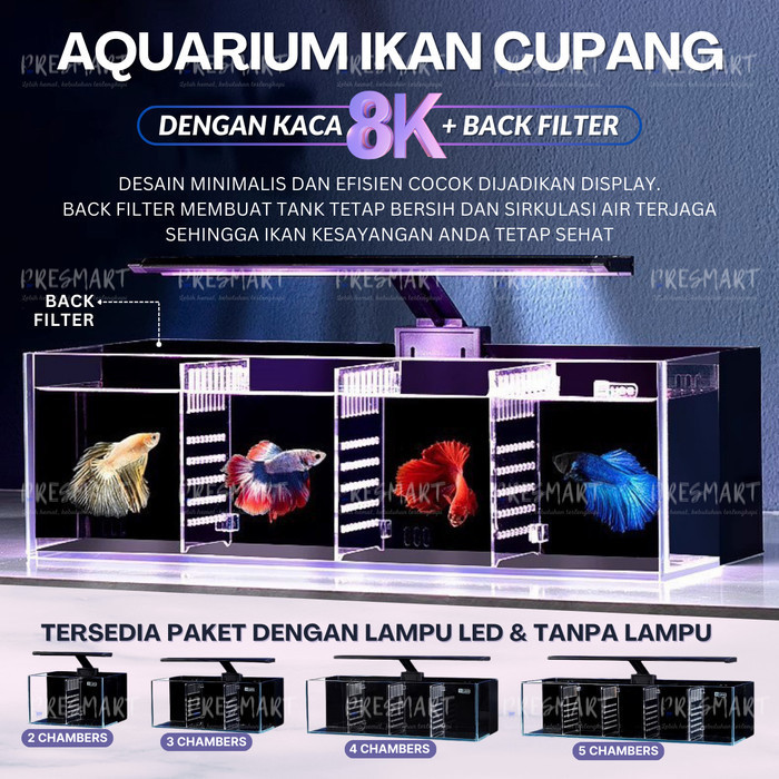 Soliter Cupang Tempat Kaca Aquarium + Filter Sekat Set Akuarium Ikan Guppy Molly Mini Betta