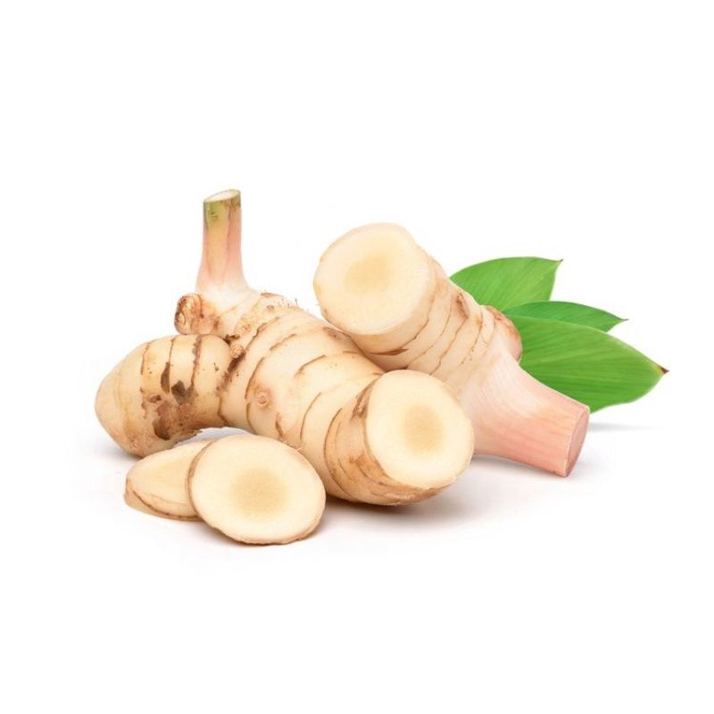

PROMO Umbi lengkuas basah segar 1kg laja gowah jahe alas hutan TRIMAKASIH