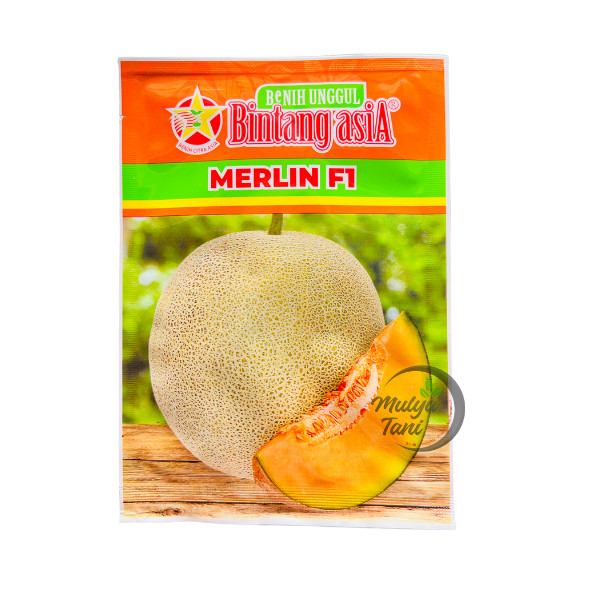 Benih Melon Merlin 20gram Bintang Asia Original