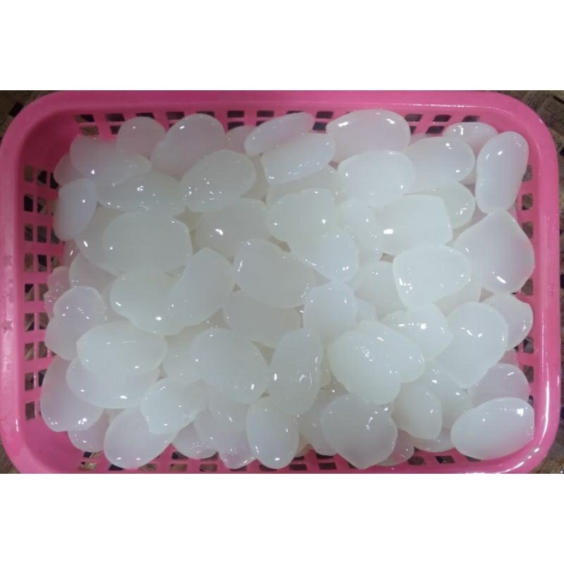 

PROMO SEGAR Kolang Kaling Jumbo 500 Gram ready