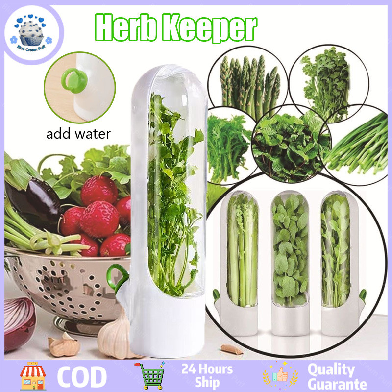 Kotak Penyimpanan Sayuran Bawang Putih Ketumbar Bawang Merah Kotak Penyimpanan Bawang Merah Menjaga 