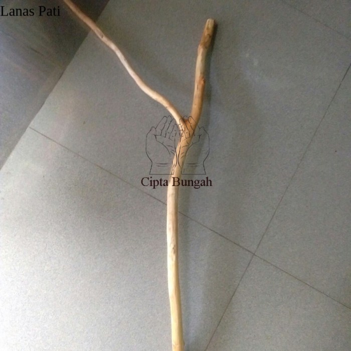 

READY STOK Ranting kayu jati cabang 50 cm - ranting kayu macrame-prakarya ranting XD5